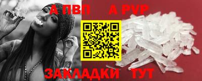 дмт Шелехов