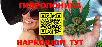 дмт Шелехов