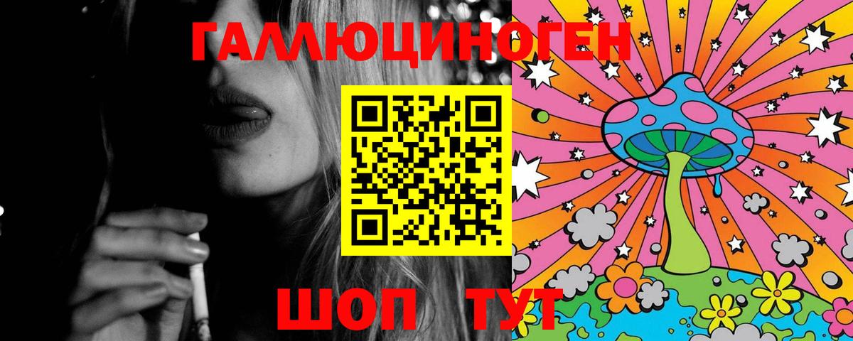 Псилоцибиновые грибы GOLDEN TEACHER  Вход с VPN  Зима 