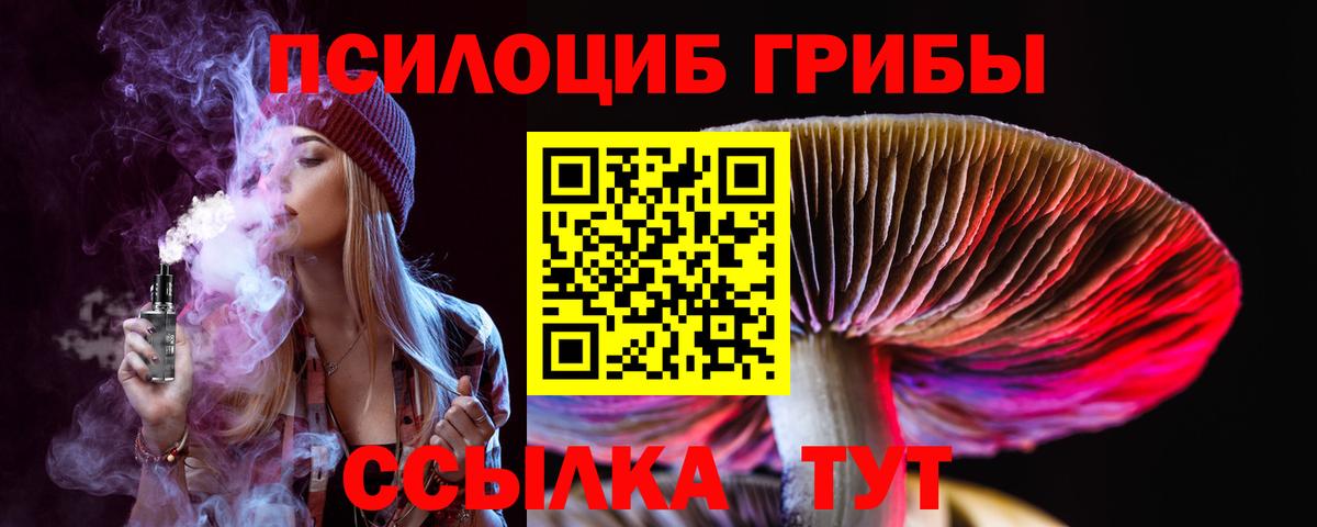 Галлюциногенные грибы прущие грибы Зима