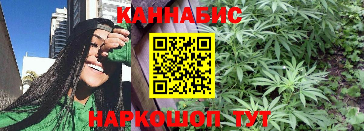 Каннабис план  Бошки марихуана MAZAR  Вход с VPN  Зима  Бошки марихуана OG Kush 
